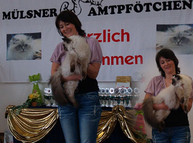 Torameni Dolls Herzog von Porthos