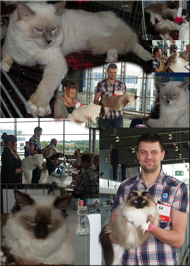 Ausstellung Erfurt (Messe) 2015></td></tr>
<tr><td align=